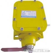 ZL-B、防撕裂裝置、ZL-A縱向撕裂保護(hù)裝置廠家直銷(xiāo)