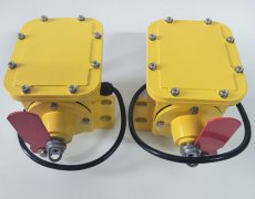 SCPT-120-30撕裂開關(guān)原理隔爆型 SCPT-120-30撕裂開關(guān)原理隔爆型